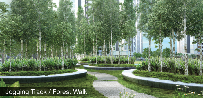 014Vina- Jogging Track