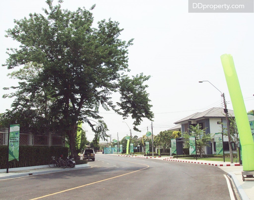 ถนนในโครงการกว้าง 16 ม. 