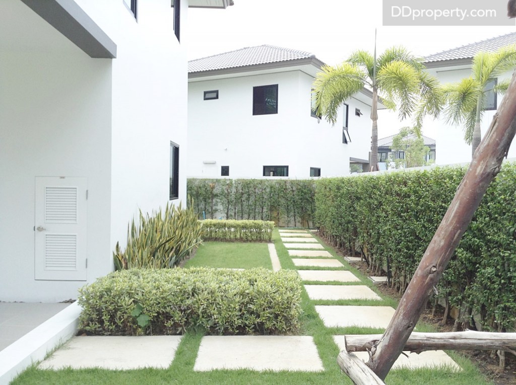 ด้านข้างของบ้าน ลงหญ้า และจัดสวนให้