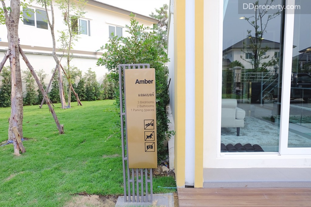 Golden Town Rama2DSCF2961