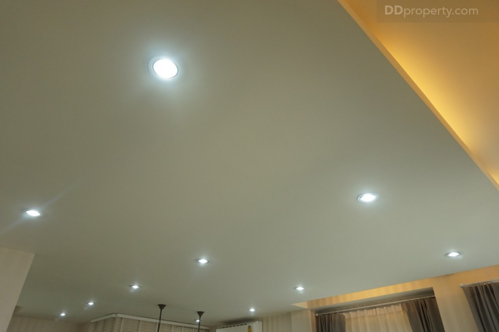 Modus VipaDSC07392-014