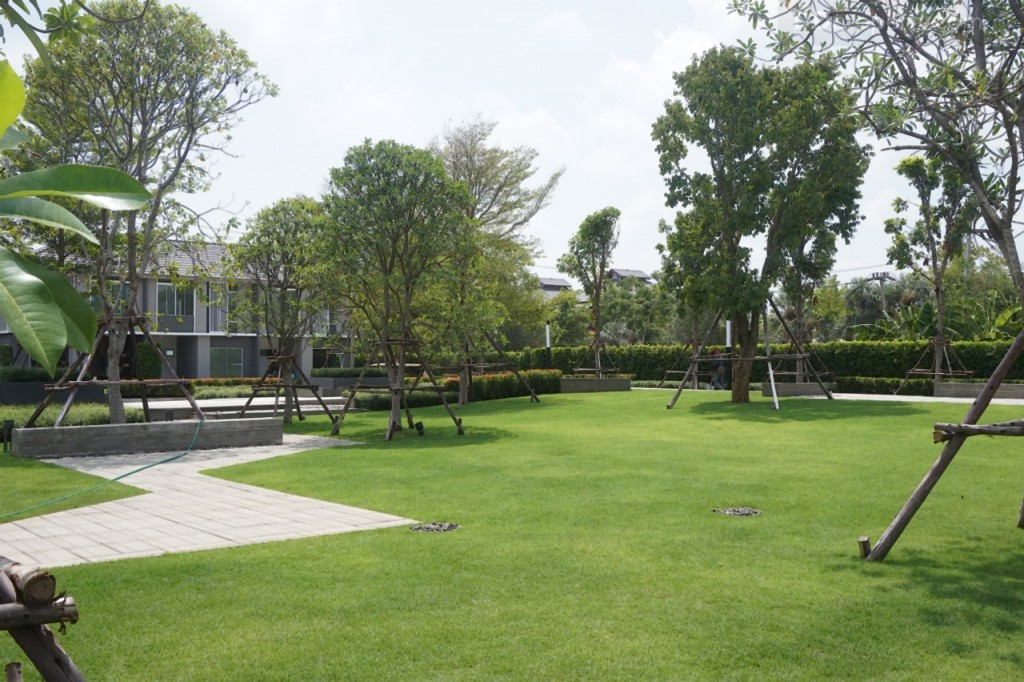 Pruksa Ville 88 Salaya5 DSC08306-005