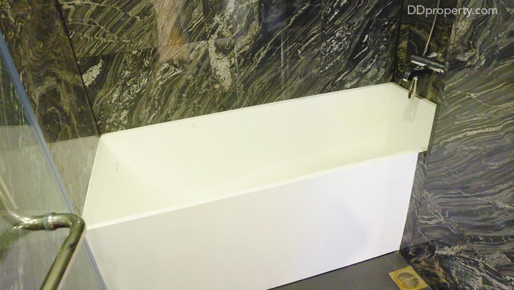 Siamese SurawongDSCF9134