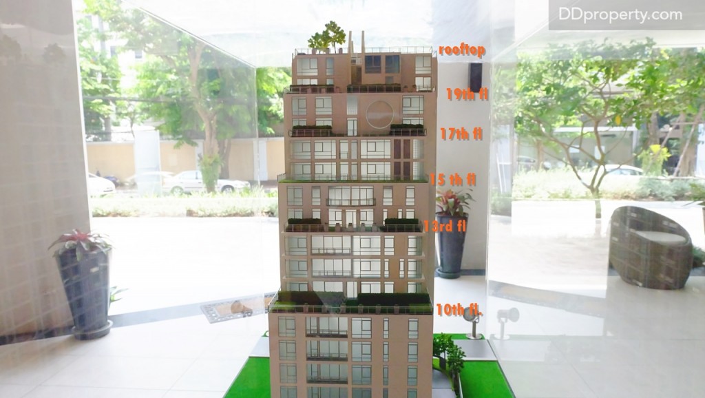 Siamese SurawongDSCF9160