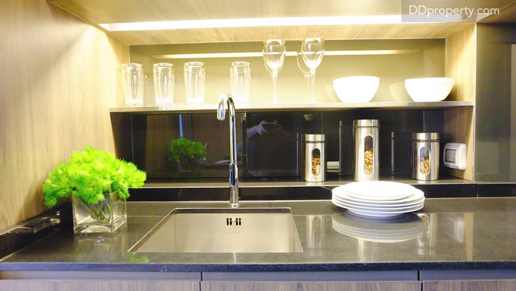 Siamese SurawongDSCF9169