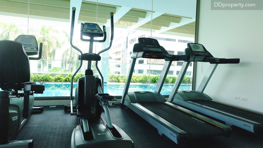 Siamese SurawongDSCF9204