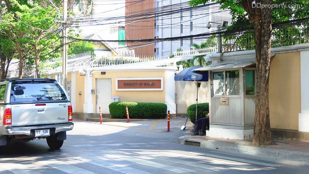 Siamese SurawongDSCF9215