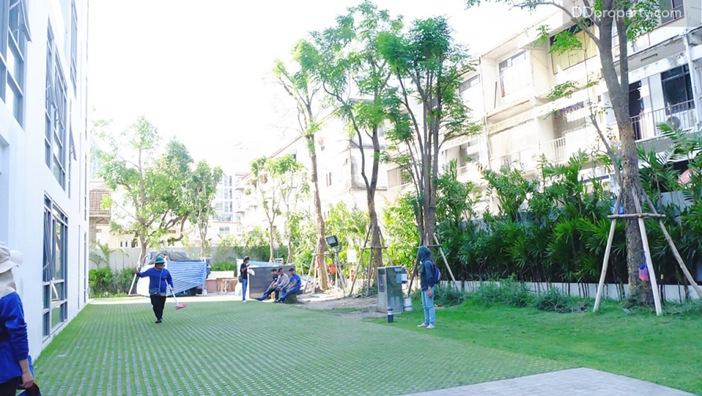 บริเวณด้านหลังโครงการใกล้กับยูนิตประเภททาวน์เฮ้าส์มีพื้นที่สีเขียวขนาดย่อม