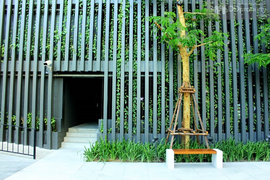 ทางเข้าอาคารจาดรถ ซึ่งก็เป็นทางเดินเดียวกันกับทางไปยังห้องSOHO ซึ่งจริงๆ แล้วสำหรับคนที่อยู่ห้องแบบ SOHO นั้นจะมีที่จอดประจำ 1 ที่บริเวณใต้ห้องของตัวเอง (ชั้น 7) ซึ่งมีทางขึ้นตรงไปยังห้องได้เลย