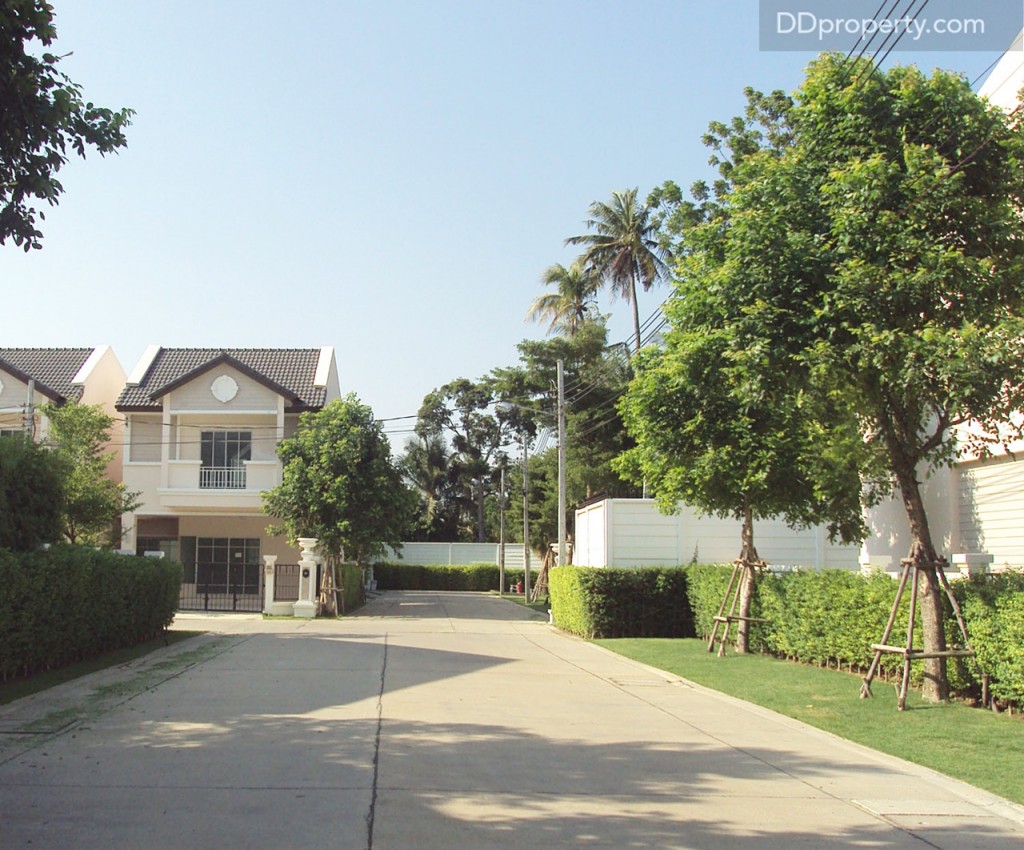 โซนด้านหลังโครงการ