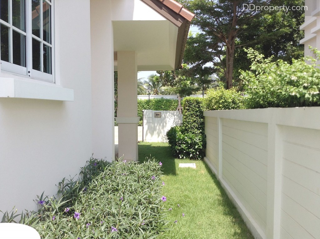 ตัวอย่างพื้นที่ว่างด้านข้างของบ้าน สามารถปลูกต้นไม้ หรือปลูกผักสวนครัวได้