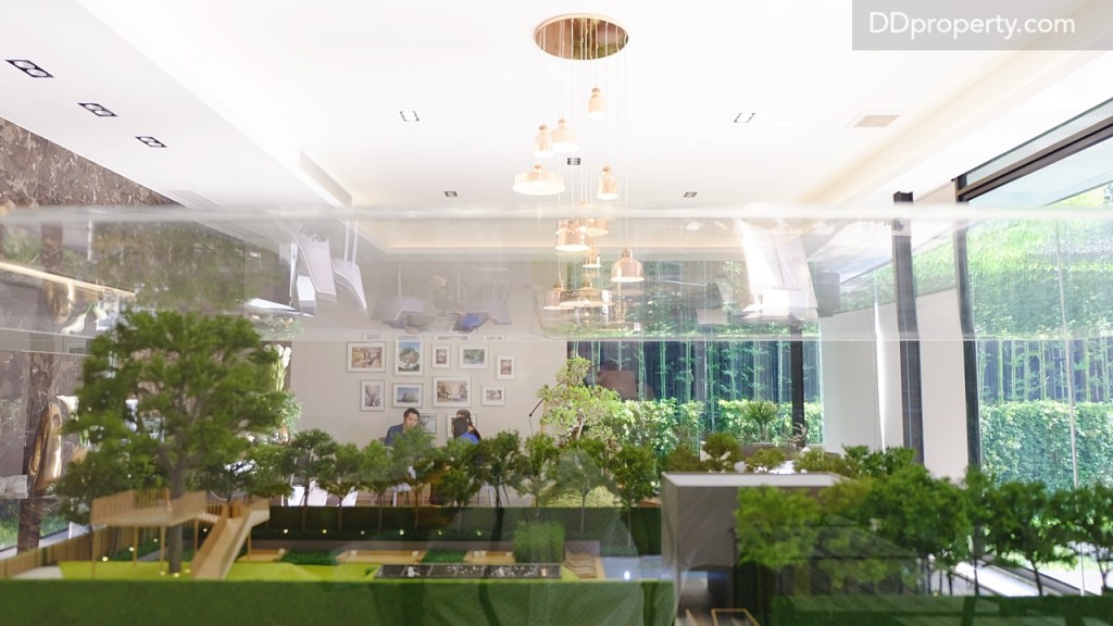 Rooftop โครงการที่จะเป็นพื้นที่ส่วนกลางประกอบด้วยสระว่ายน้ำและ rooftop garden รวมถึงต้นไม้ใหญ่