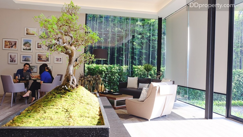 ใจกลางสำนักงานขายจะเป็นต้นไม้ (ขนาดย่อ 1: 100) ที่จะขึ้นไปอยู่บนดาดฟ้าของโครงการโดยของจริงจะเป็นต้นไม้ขนาดใหญ่