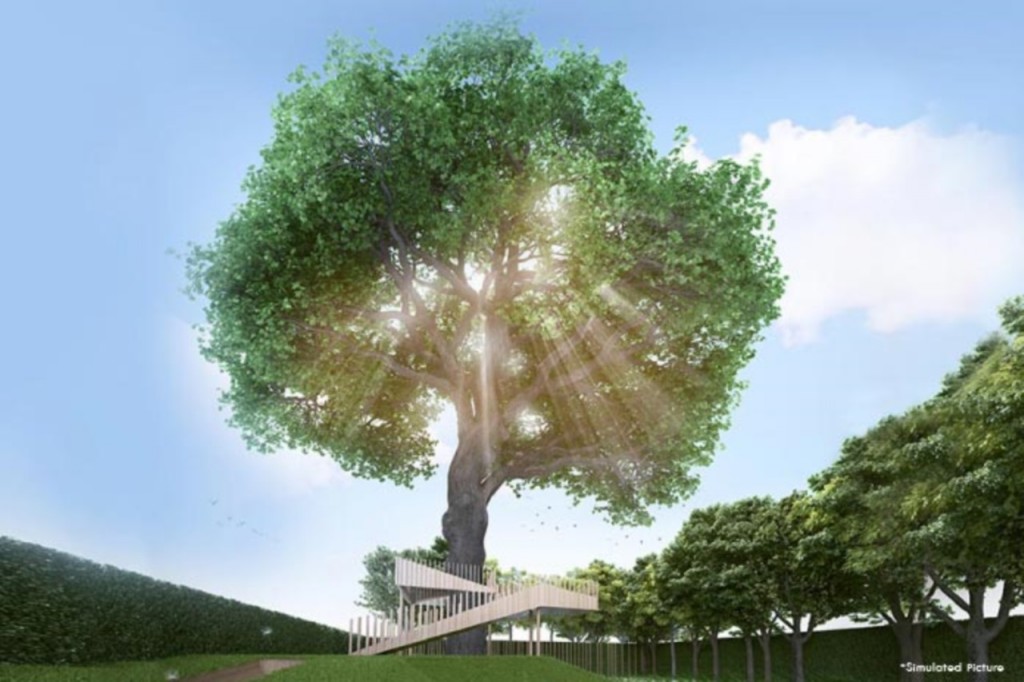 ต้นไม้ใหญ่บนชั้น rooftop ตั้งเป็นจุดเด่นประจำโครงการ