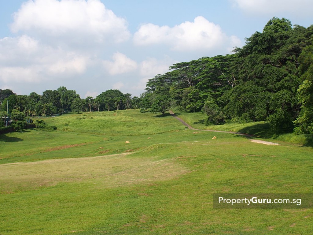 bartley ridge open area