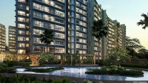 - d'Nest Review