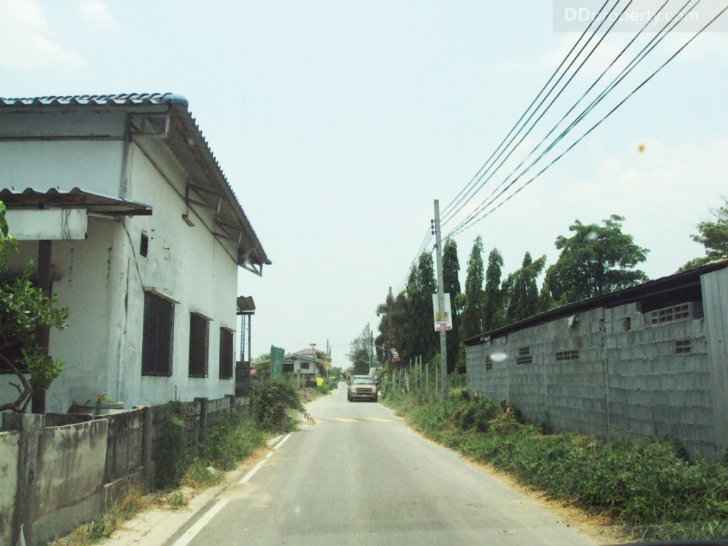 lio bliss Kanjanapisek-Chaiyaphreukp12-009