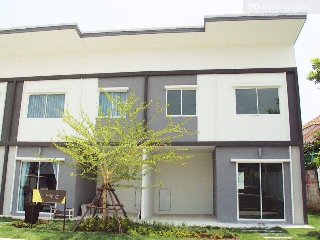 lio bliss Kanjanapisek-Chaiyaphreukp24-019