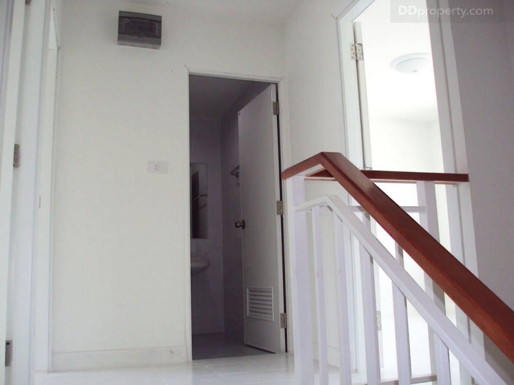 lio bliss Kanjanapisek-Chaiyaphreukp32-027