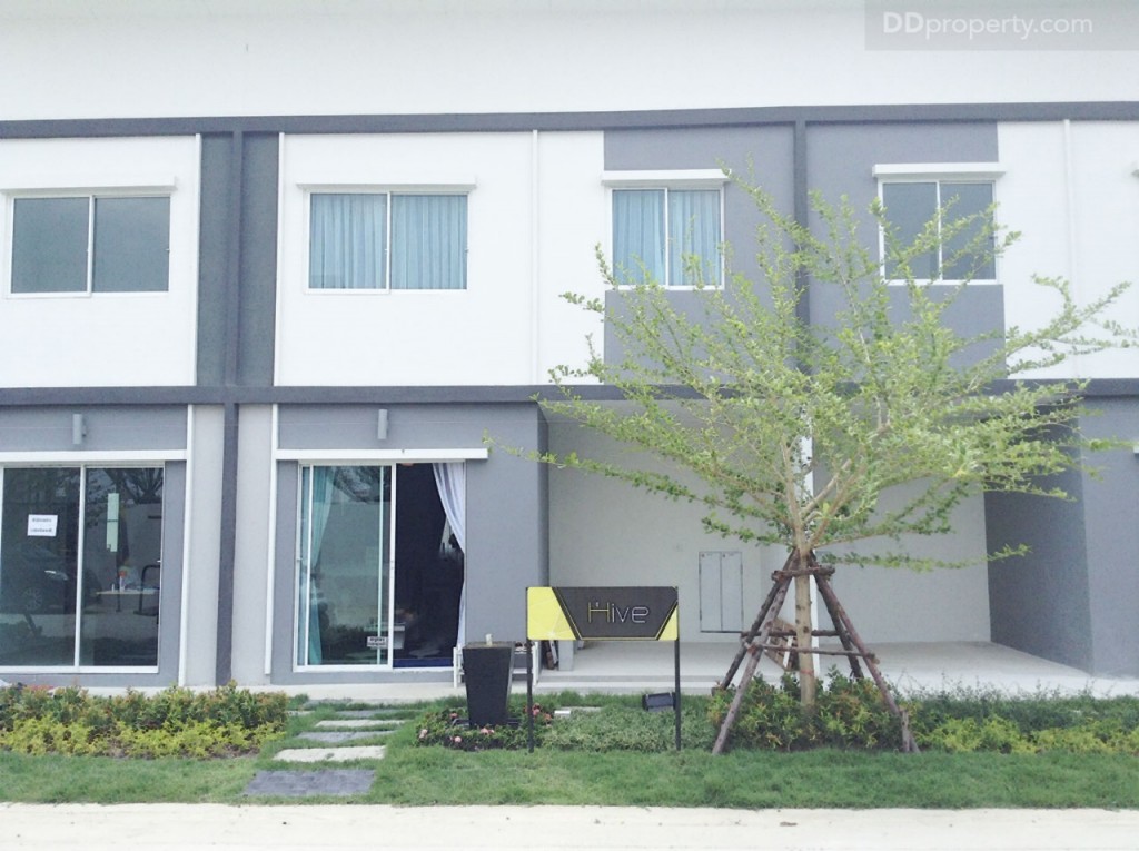 lio bliss Kanjanapisek-Chaiyaphreukp37-032