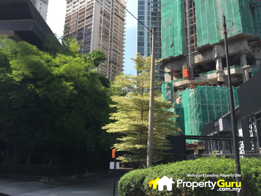 the mews site 10IMG_7507