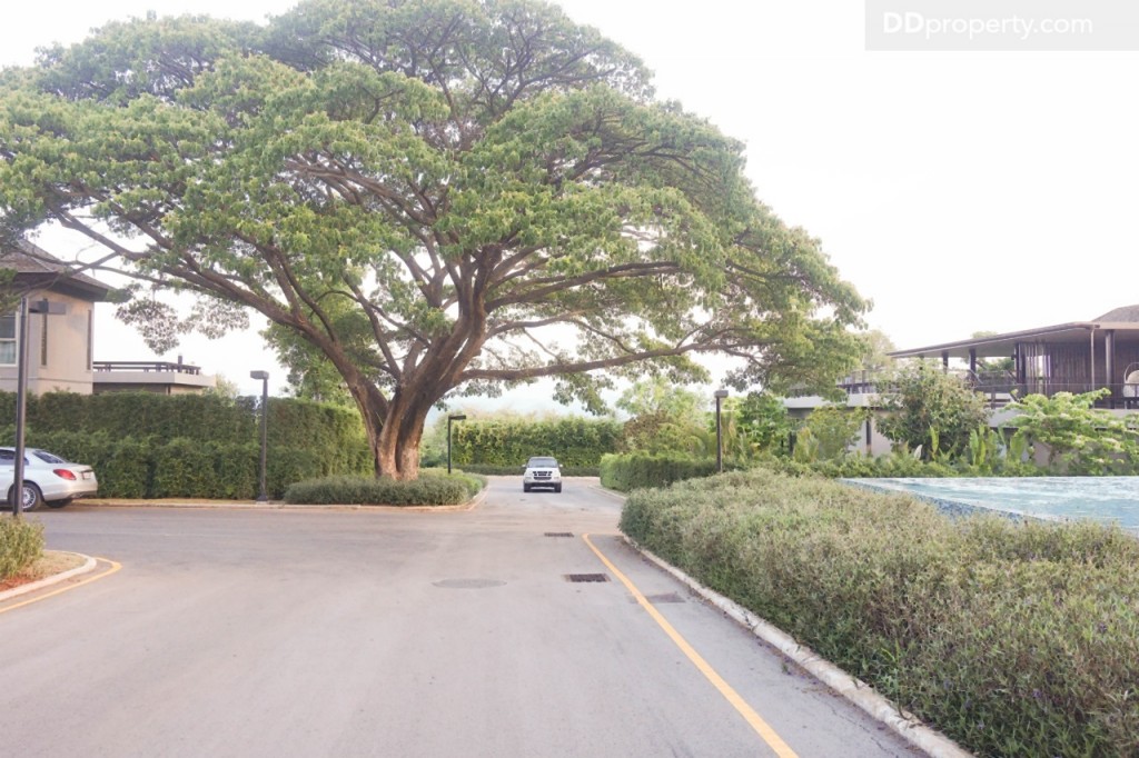 Baan Sita Wan3 DSC08461-003