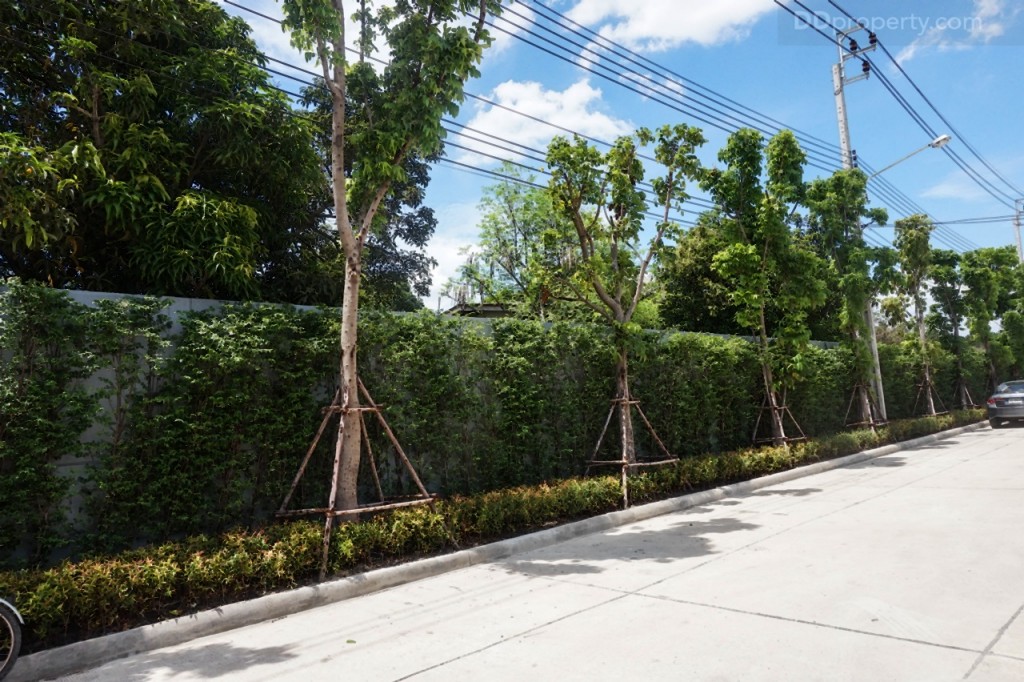 Chaunchun Grand Ratchapruek Rama 54 DSC09077-004