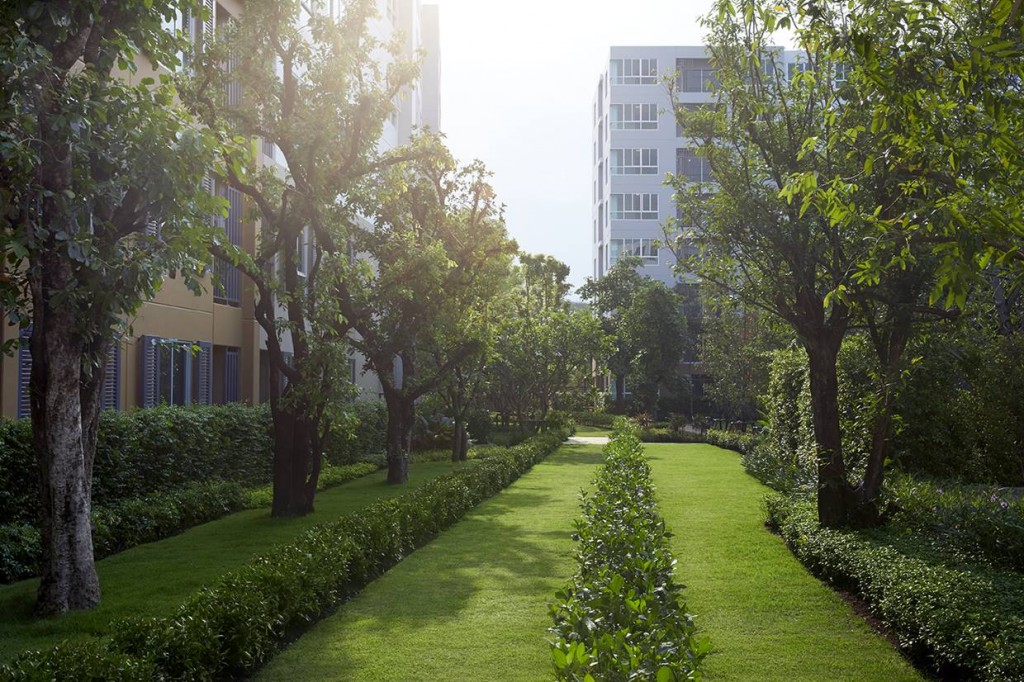 พื้นที่สีเขียวกว่า 2 ไร่ อยู่ใจกลาง และรอบๆ  ทั้ง 3 อาคาร