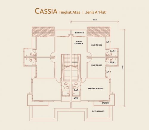 cas-21