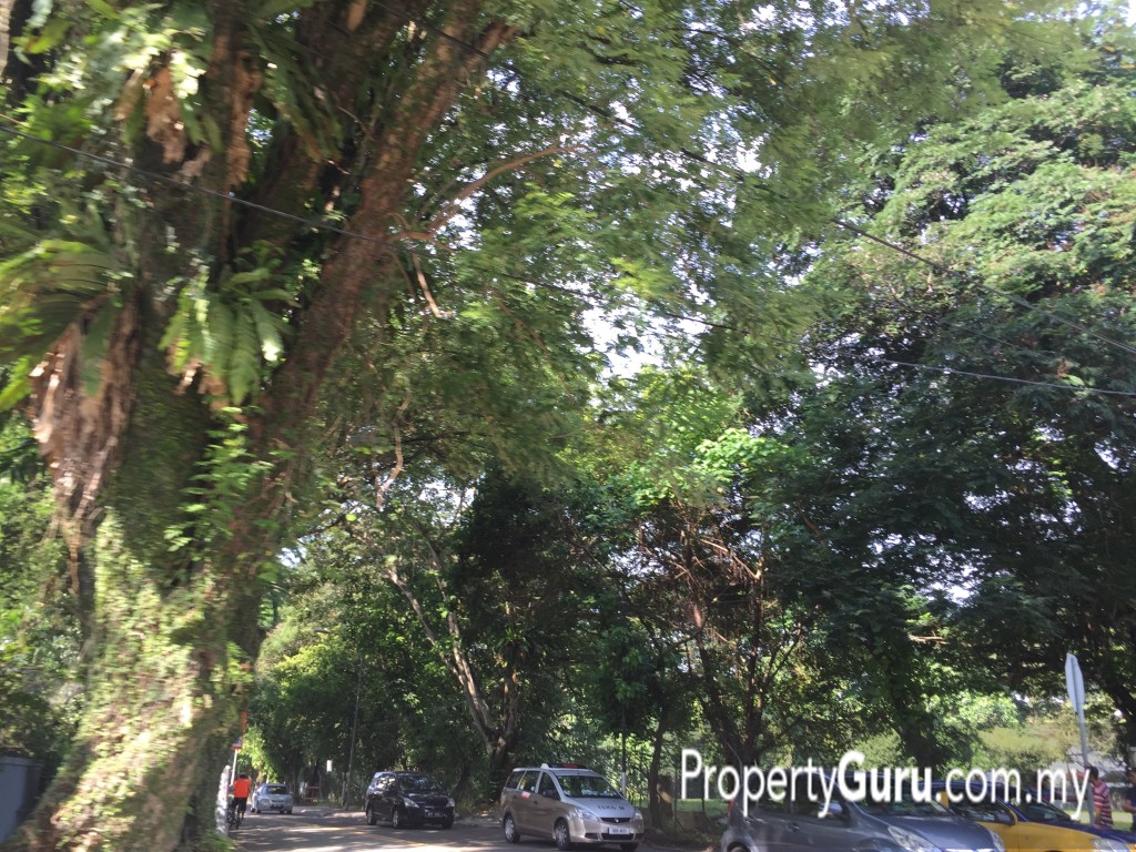 seri ampang site 4IMG_8524