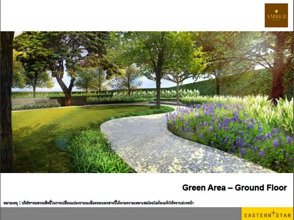 Amber RattanathibetAmber_19-008