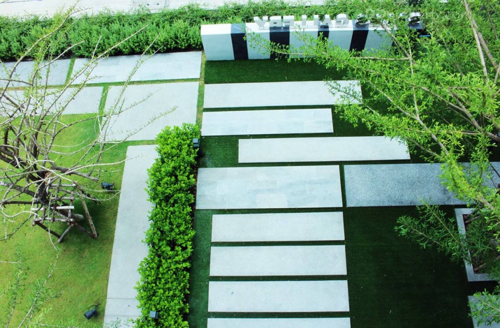 FLORAIMG_6896-20160725