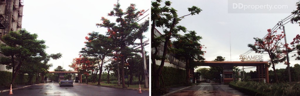 Siamese BlossomSiamese Blossom @ Fashion_29-014