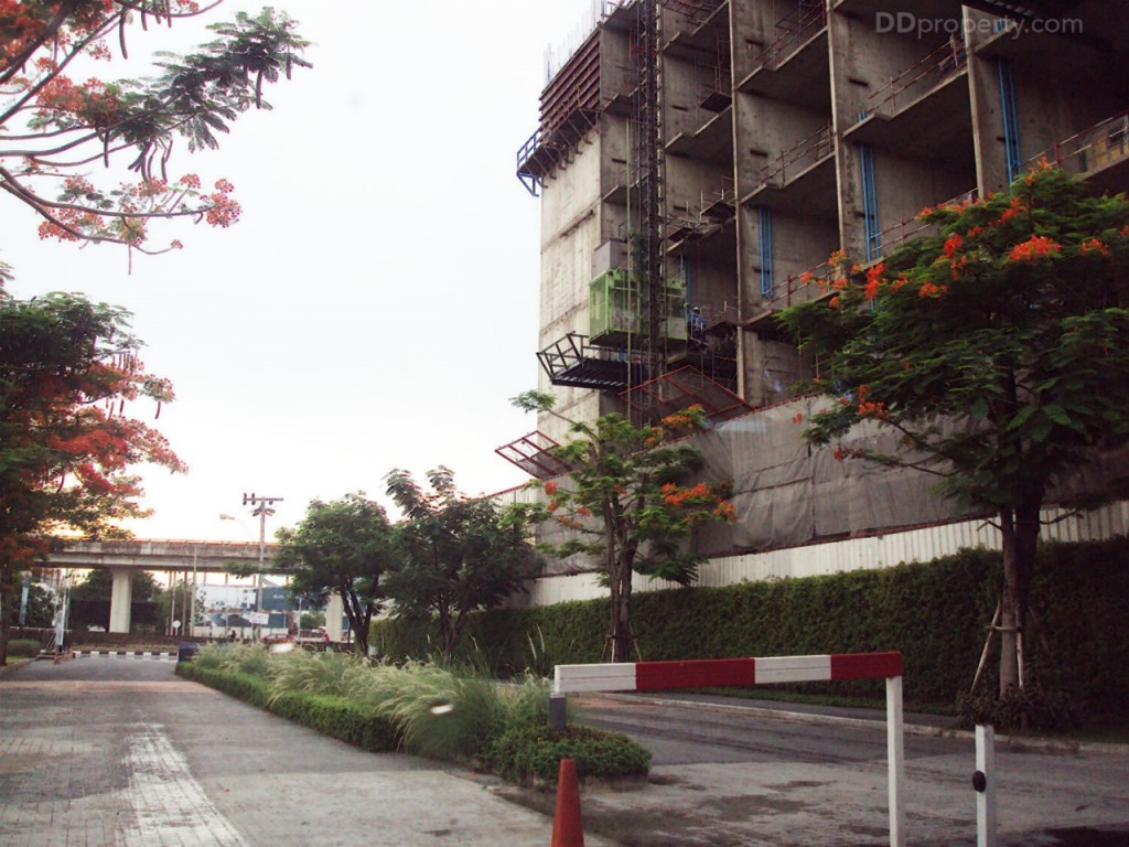 Siamese BlossomSiamese Blossom @ Fashion_30-015