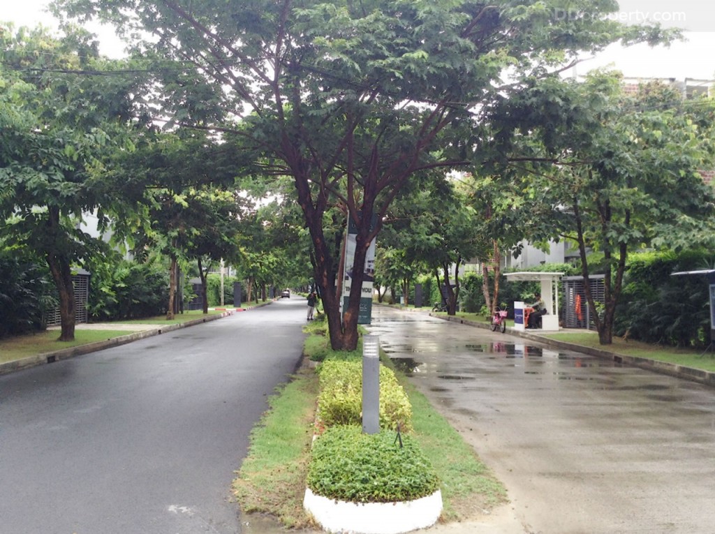 Siamese BlossomSiamese Blossom @ Fashion_31-016