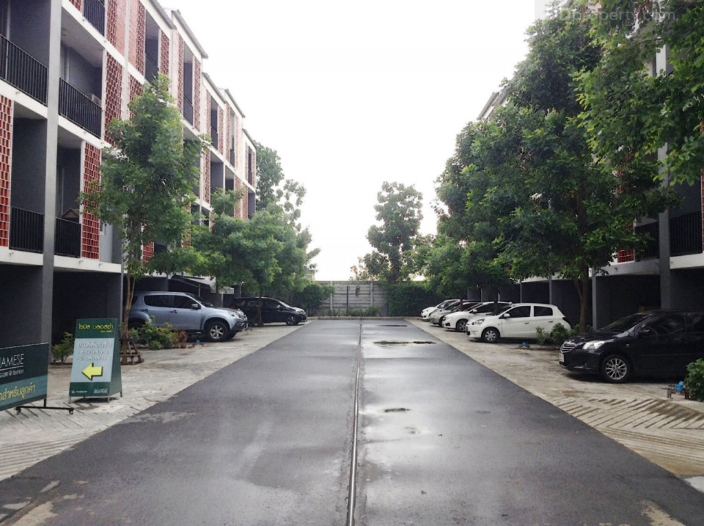 Siamese BlossomSiamese Blossom @ Fashion_32-017