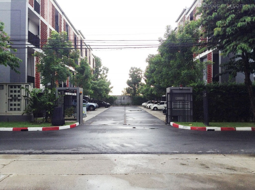 Siamese BlossomSiamese Blossom @ Fashion_34-019