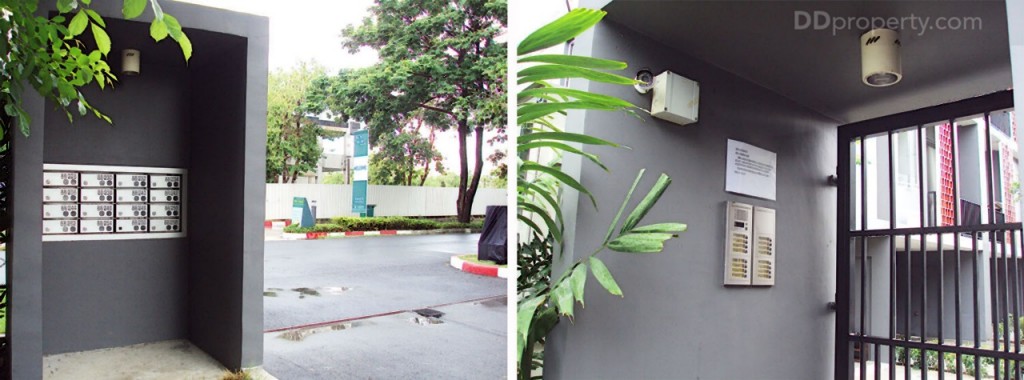 Siamese BlossomSiamese Blossom @ Fashion_35-020