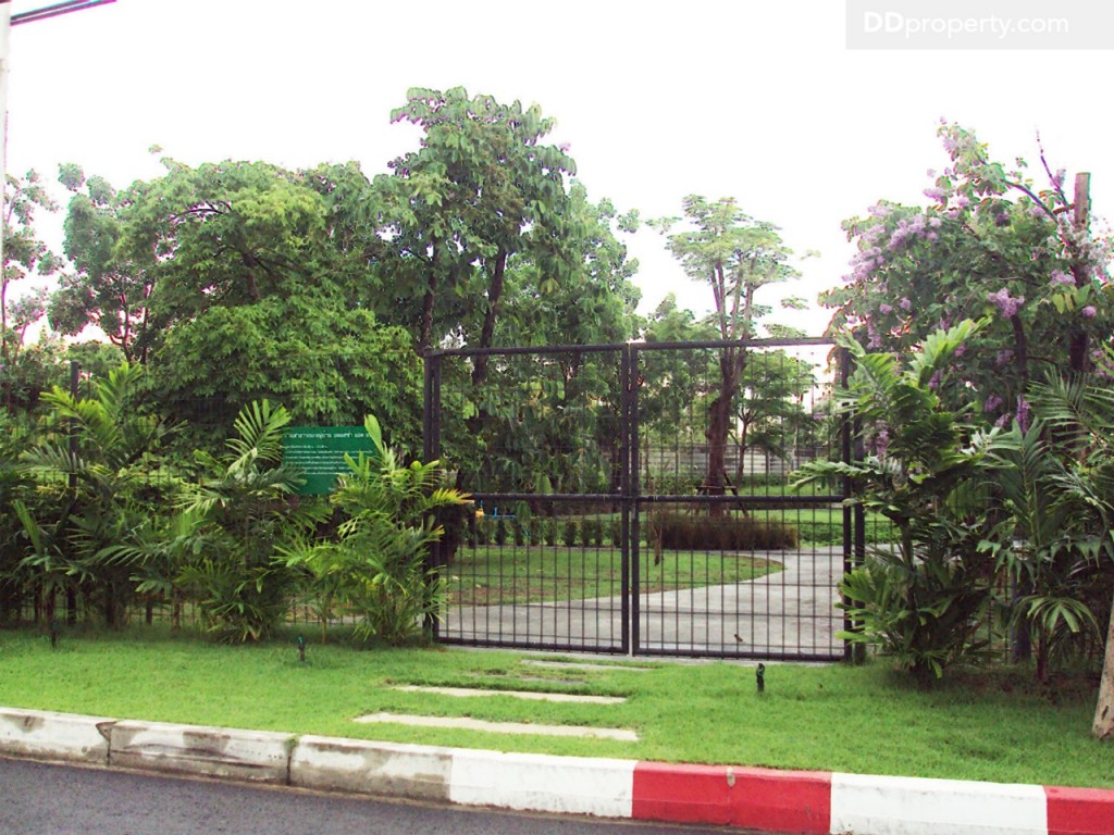 Siamese BlossomSiamese Blossom @ Fashion_38-023