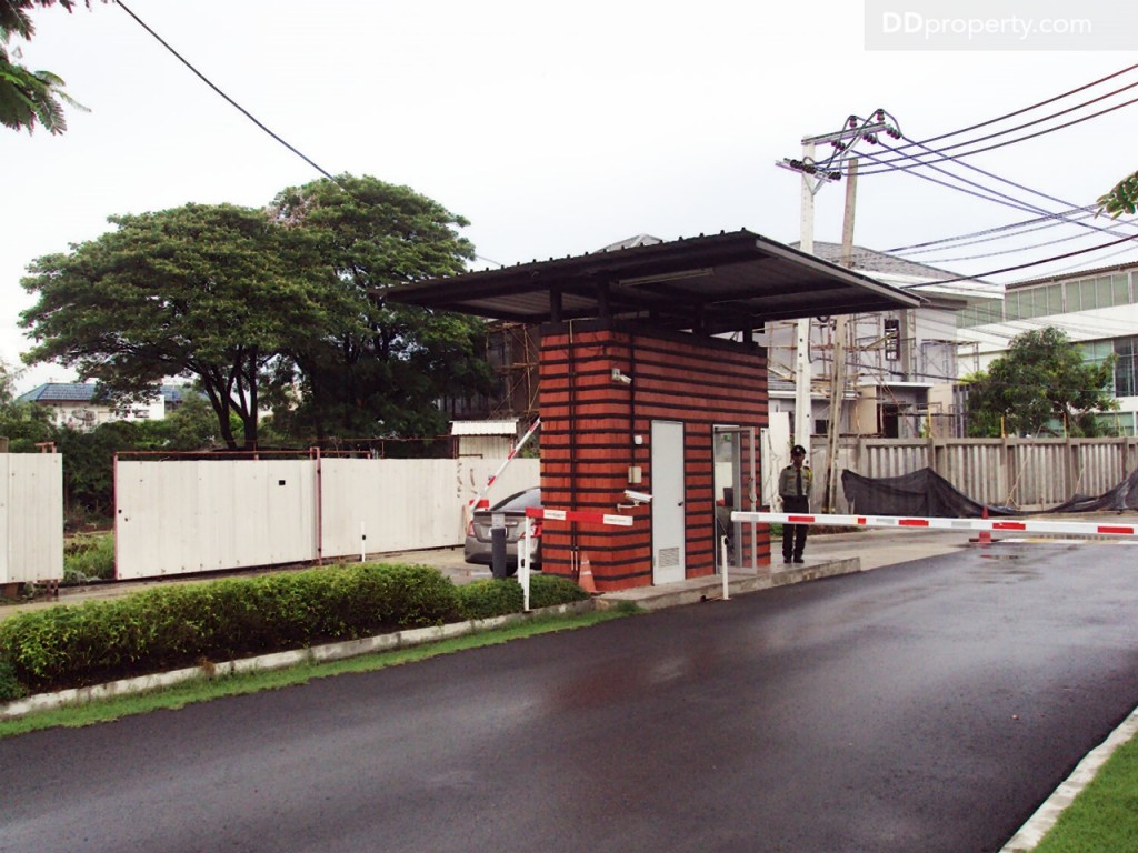 Siamese BlossomSiamese Blossom @ Fashion_39-024