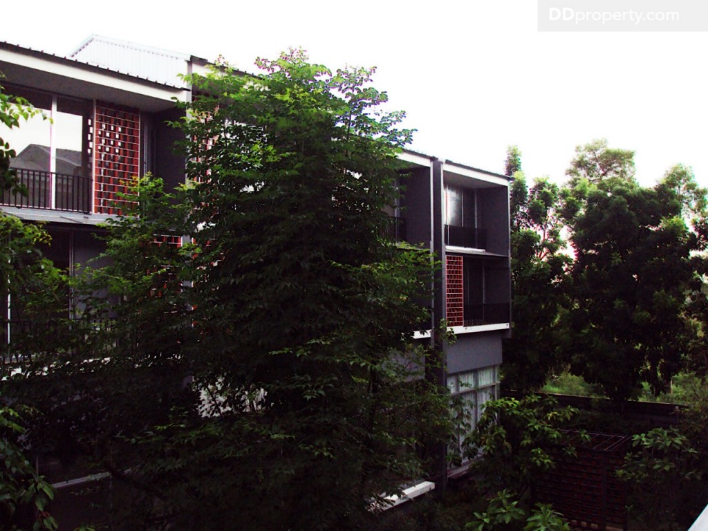 Siamese BlossomSiamese Blossom @ Fashion_41-026