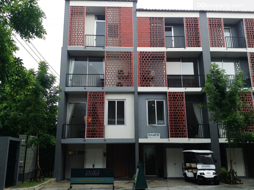 Siamese BlossomSiamese Blossom @ Fashion_44-029