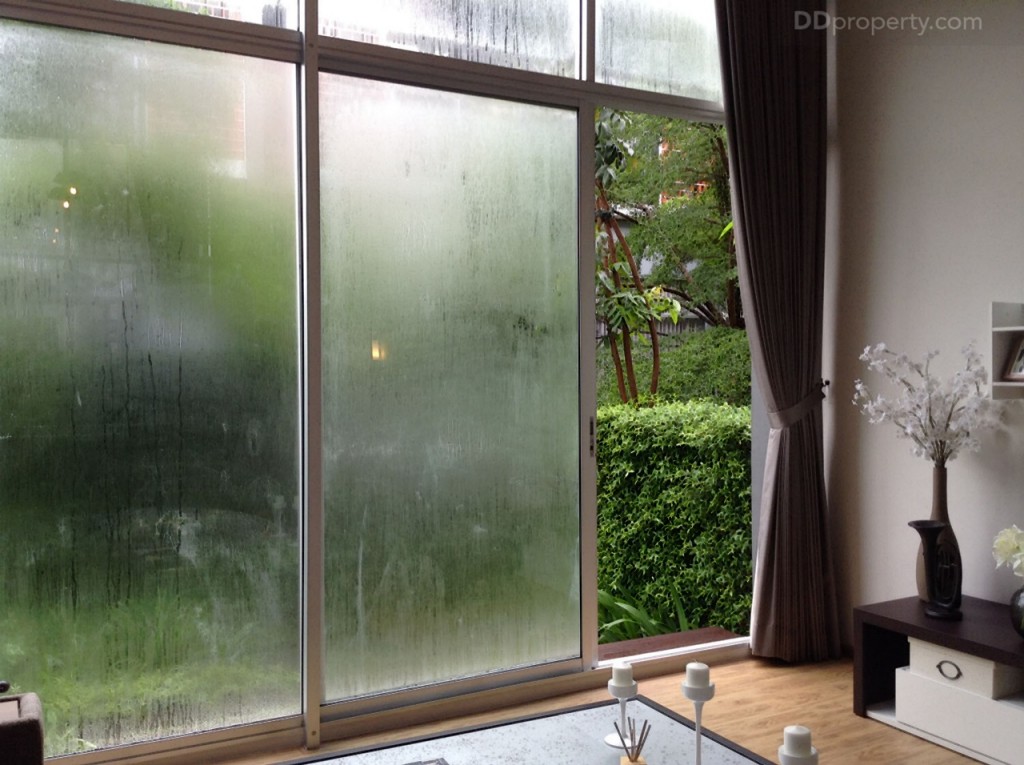 Siamese BlossomSiamese Blossom @ Fashion_51-036