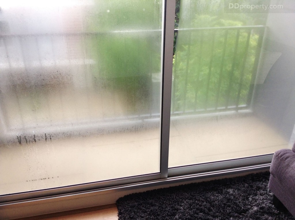 Siamese BlossomSiamese Blossom @ Fashion_68-053