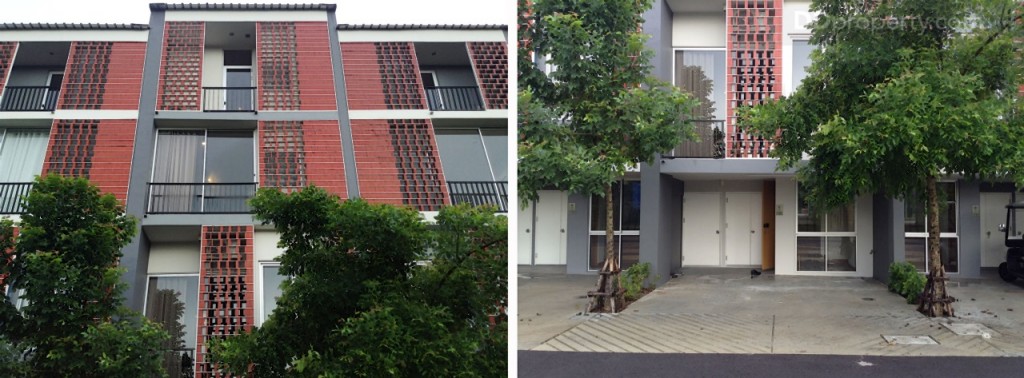 Siamese BlossomSiamese Blossom @ Fashion_80-064