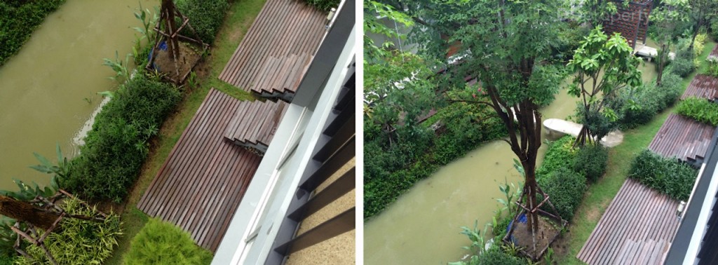 Siamese BlossomSiamese Blossom @ Fashion_94-078