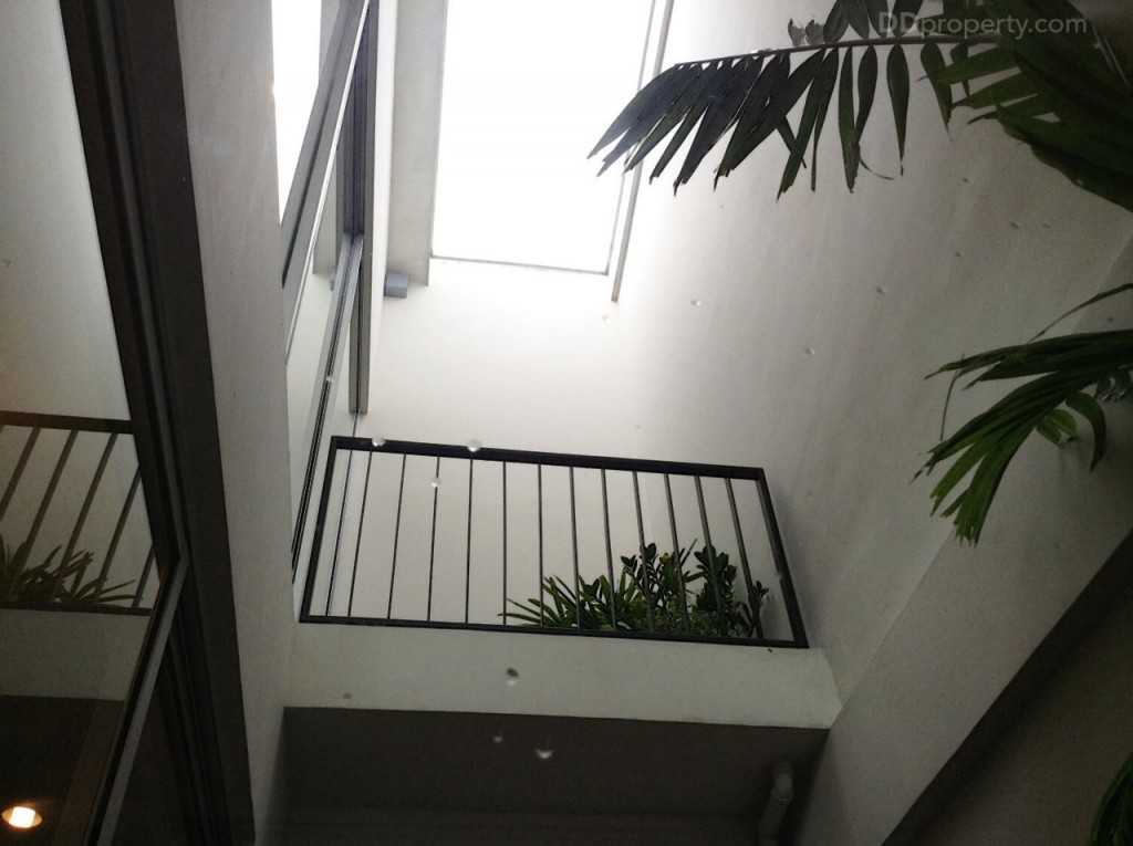 Siamese BlossomSiamese Blossom @ Fashion_97-081