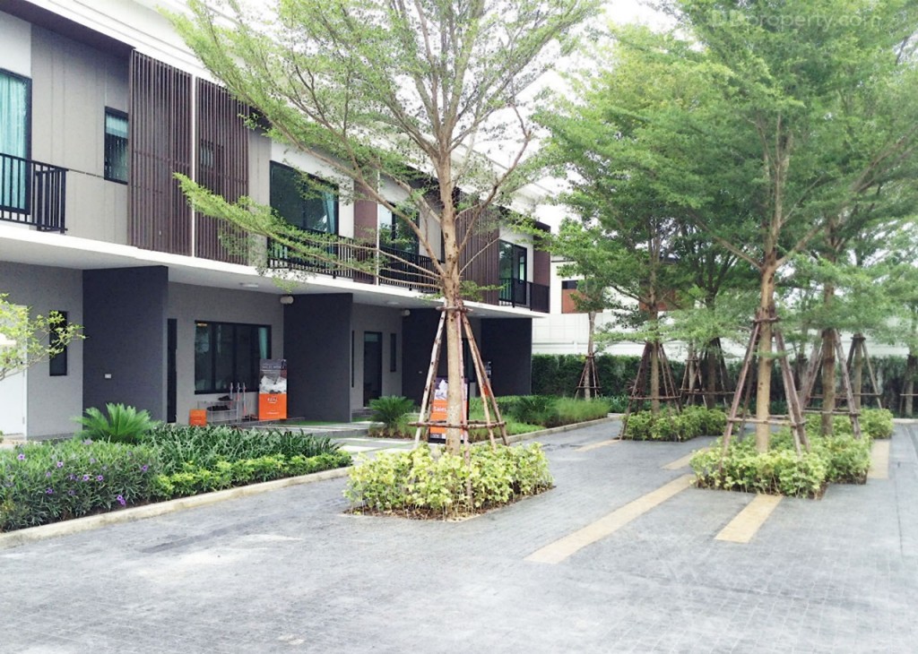 The Connect Rattanathibet The Connect Rattanathibet - Ratchaphruek _20-013