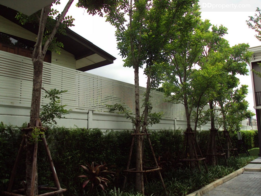 The Connect Rattanathibet The Connect Rattanathibet - Ratchaphruek _26-019