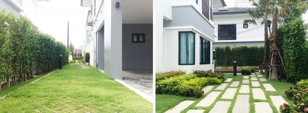 nc on green charmNc on Green Charm_105-084